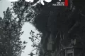子不语:夜行郎 (2023)