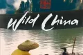 美丽中国 (2008)