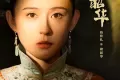 灼灼韶华 (2025)