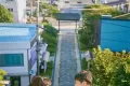 山茶花开时 (2019)
