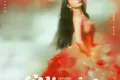 绽放的许开心 (2025)