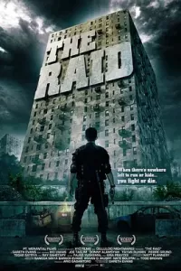 突袭 (2011)